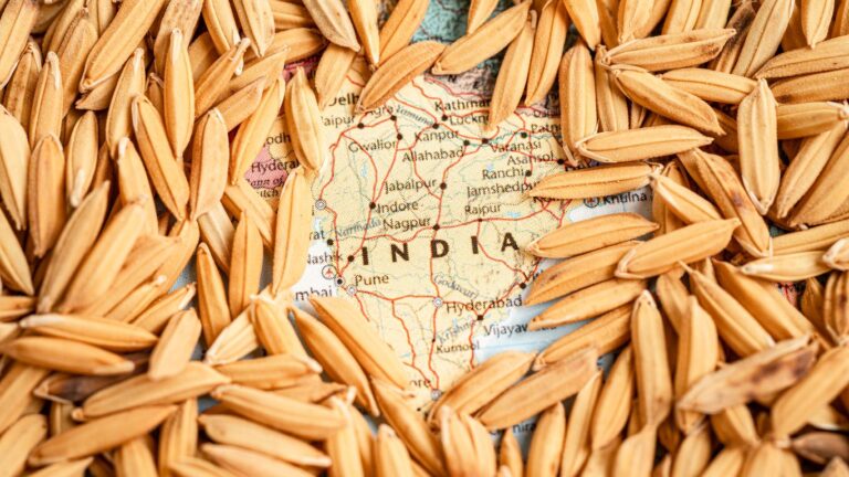 Leading Trader Of Rice In India