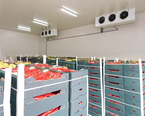 Cold Storage